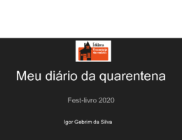 Igor Gebrim da Silva_4anofuturista_DIARIO